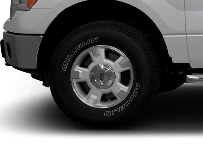 2010 Ford F-150 XL