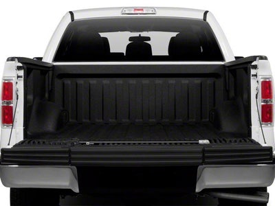 2010 Ford F-150 XL